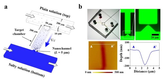 [연구그림] 미세유체채널장치 모식도 /사진=UNIST