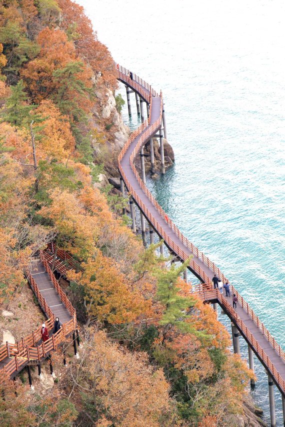 지난 11일 개장한 고하도 해안 데크. 사진=조용철 기자