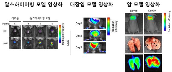 캐스페이즈-1 효소 표적 형광 영상 기술을 이용해 다양한 염증성 질환 (알츠하이머병, 대장염, 암) 모델에서 조기 진단 영상화. 각기 병변이 나타나기 전 캐스페이즈-1 효소 검출에 따른 조기 진단이 가능하다. 한국과학기술연구원 제공