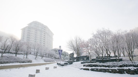 [스키의 계절] 전철타고 더 빠르게, 엘리시안강촌