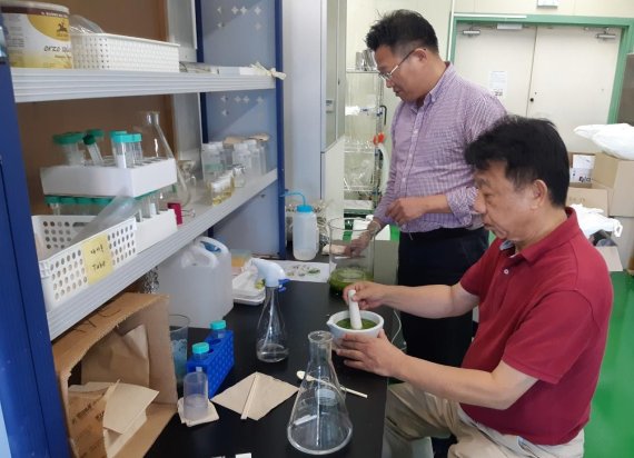 ㈜제이앤씨바이오의 천연물(해조류)의 기능성 물질 분리와 정제기술 컨설팅