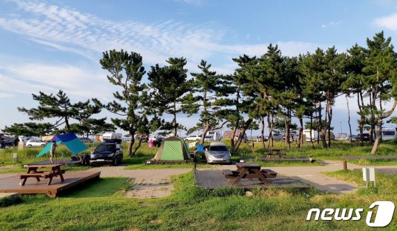 산불 딛고 일어나는 동해 망상오토캠핑리조트. (뉴스1 DB) © News1
