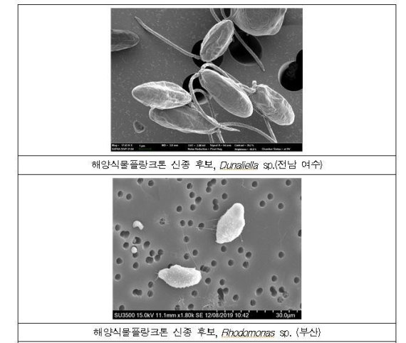 해수부 해양생명자원 조사로 529종 생물종 확보