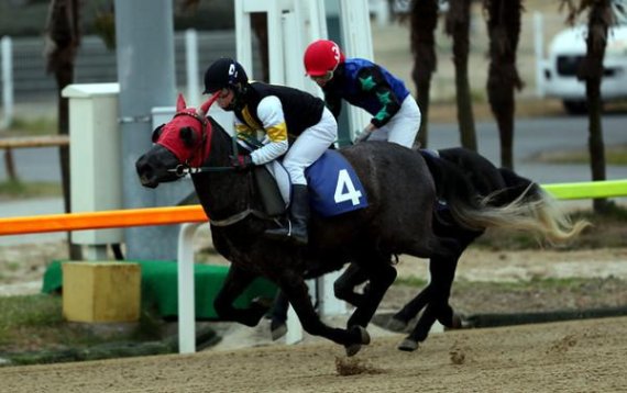 렛츠런파크 제주 2020년 새해맞이 특별경주에서 우승 차지한 제주마 '고질라'