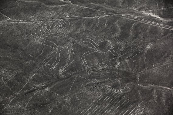 '외계인이 남긴 그림' 페루 나스카라인 143개 추가 발견
