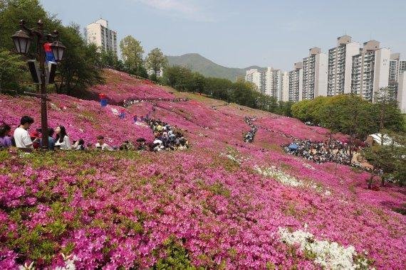 군포철쭉축제 또 ‘경기관광축제’ 선정