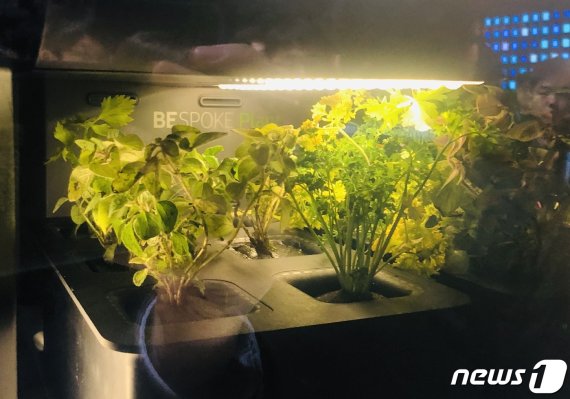 삼성전자가 6일(현지시간) 미국 라스베이거스 컨벤션센터에서 국제가전전시회 'CES 2020' 개막을 하루 앞두고 언론을 대상으로 사전에 공개한 전시관에 식물재배기 시제품 '비스포크 플랜트'가 전시돼 있는 모습. 2020.1.6/뉴스1 © 뉴스1 주성호 기자