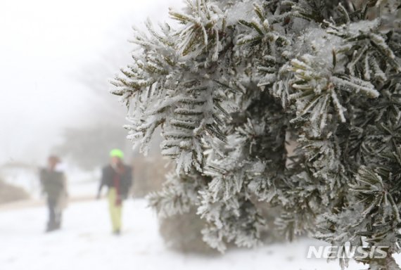 [제주=뉴시스]우장호 기자 = 추운 날씨를 보인 8일 제주 한라산에 관광객들이 찾아와 모처럼 내린 하얀 눈을 배경으로 사진을 찍으며 즐거운 시간을 보내고 있다. 오전 한때 대설주의보가 내려졌던 한라산 진달래밭에는 7.6㎝의 눈이 내렸다. 2020.01.08. woo1223@newsis.com