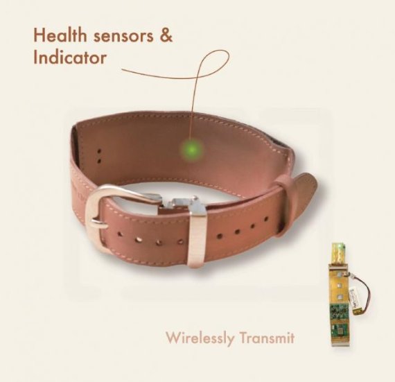 고양이 아닙니다, 로봇쿠션이에요[Weekend 반려동물]