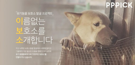 더에스엠씨그룹, 유기동물 보호소 발굴 프로젝트 ‘이보소’ 캠페인 전개