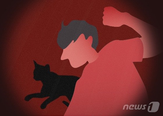 이틀 연속 고양이 살해한 50대에 '징역 4개월' 선고