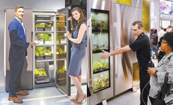 이달 초 미국 라스베이거스에서 열린 세계 최대 전자 전시회 CES 2020에서 삼성전자(왼쪽)·LG전자 작원들이 '식물 재배기'를 소개하고 있다. 각사 제공