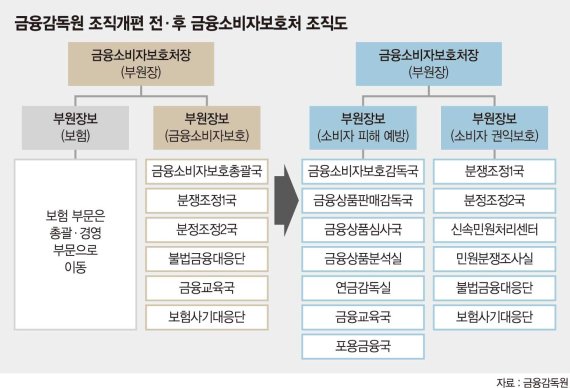 "DLF 사태 재발 막는다"… 금감원, 금소처 인력·조직 강화
