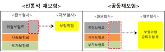 '공동재보험' 상반기 도입...금리위험&middot;자본확충 부담완화