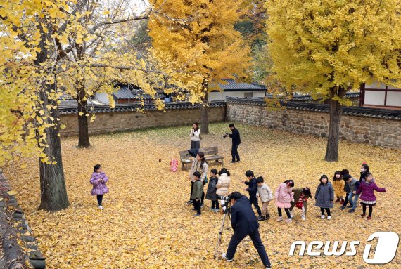 전북 전주한옥마을 내 전주향교에서 어린이들이 노랗게 물든 은행나무 아래서 신나게 놀고 있다. /뉴스1