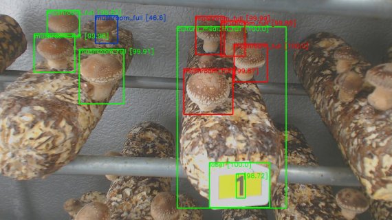 ㈜인튜웍스가 개발한 버섯 양식 영상 자동 분석 시스템. 한국전자통신연구원 제공