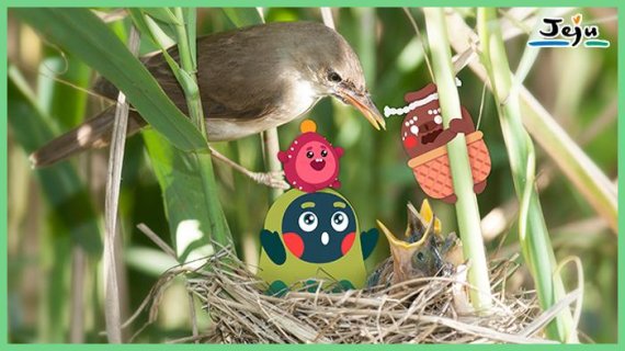 지역 경쟁력 키우는 ‘제주의 신’ 캐릭터…경제효과까지 '톡톡’