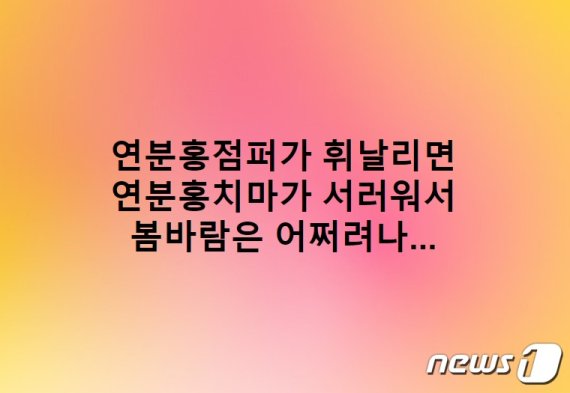 홍보전문가 손혜원 지적 무서웠나.. 한국당의 태세전환