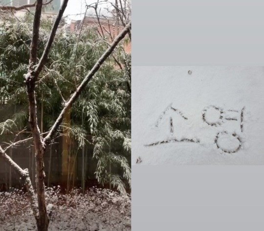 고소영 인스타그램 © 뉴스1