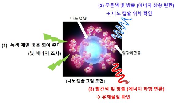 나노캡슐에 빛을 쏘여, 나노 캡슐 위치를 확인하고 유해물질의 양까지 확인할 수 있다. 한국생명공학연구원 제공