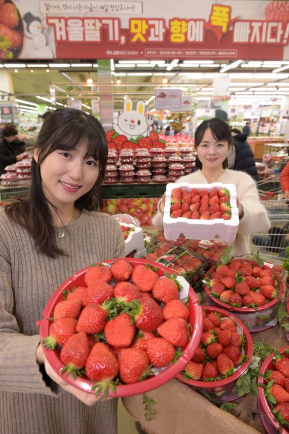 농협유통, 하나로마트 양재·창동점 등 전 점 딸기 최대 31% 할인 행사