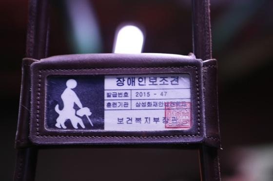 반려견 아닌데… 공공시설 출입 거부 당하는 치료도우미견