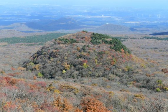 한라산 돌오름 전경