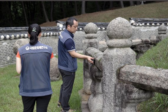 왕릉 석조문화재 보존상태 조사 모습 /사진=fnDB