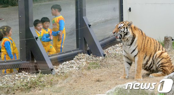 전북 전주동물원 자료사진. 뉴스1