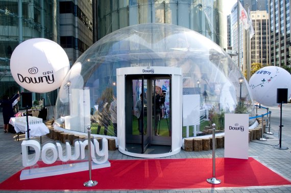 자연향 담은 다우니, 세계에 한국 야생화 알렸네요