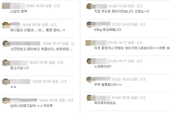 온라인 커뮤니티에 올라온 '쇼핑몰 후기' 글의 댓글. 기사에 담을 수 없는 수준의 댓글은 포함하지 않았다. /사진=온라인 커뮤니티