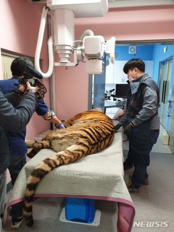 전주동물원에 천연기념물 보존관 만든다…올빼미, 소쩍새, 칡부엉이 등 50종