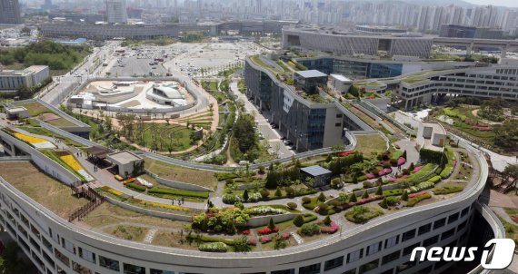 '불혹' 넘긴 한국, 평균 나이 42.6세..세종, 유일한 30대 '젊은 도시'