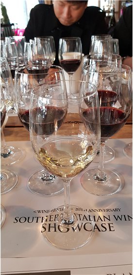 상파올로 그레꼬 디 투포 와인.