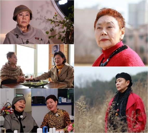 TV조선(TV CHOSUN) '인생다큐 마이웨이' © 뉴스1