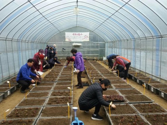 시흥시 아파트 텃밭 운영…공동체 의식↑