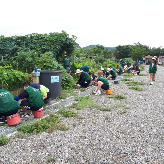 시흥시 청소년 도시텃밭 학교. 사진제공=시흥시