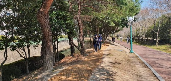 울산대공원, 1km 거리 '작은 등산로' 개방