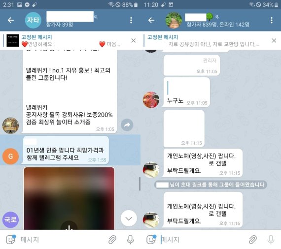 텔레그램 단체방에서 신분증 및 음란물 등 불법적인 거래가 이뤄지고 있다./사진=제보자