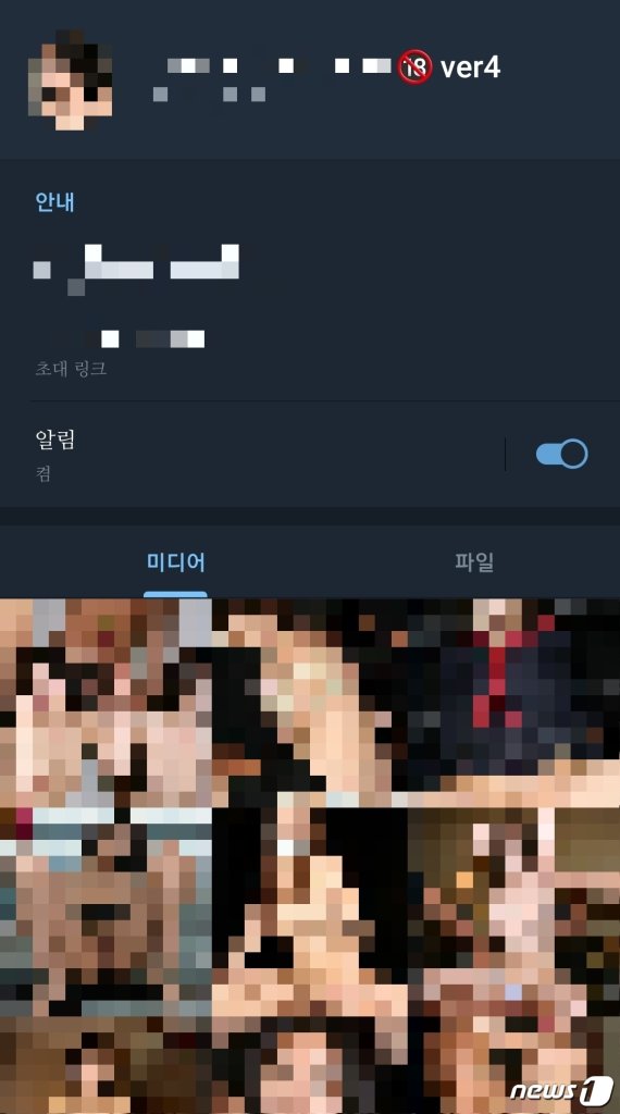 텔레그램 상 여성 아이돌 딥페이크 사진 리스트. 뉴스1 제공