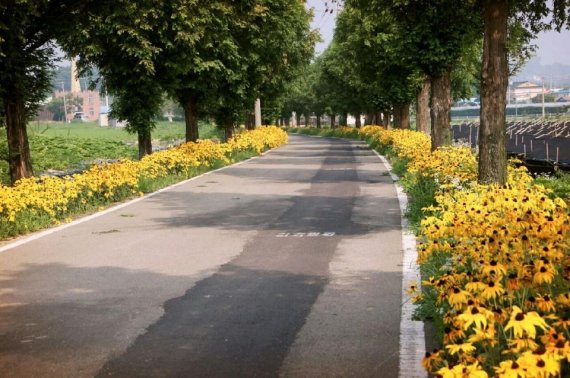 파주시 적성면 한배미 마을 진입로. 사진제공=파주시