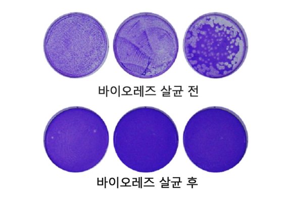 서울바이오시스, "바이오레즈 기술로 코로나19 99.99% 살균 입증"