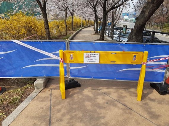 안양충훈벚꽃축제 내년 기약…보행로 폐쇄