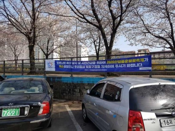 안양충훈벚꽃축제 내년 기약…보행로 폐쇄