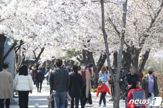 정부가 '강화된 사회적 거리두기'를 오는 19일까지 연장한 가운데 5일 오후 서울 여의도한강공원에서 마스크를 착용한 시민들이 벚꽃 사이로 산책을 하고 있다. /사진=뉴스1