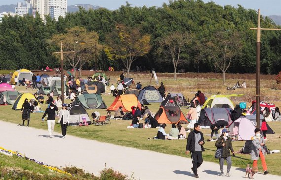 울산 태화강 국가정원. 울산지역 만 59∼67세 '베이비부머' 세대는 10명 중 1명만 귀촌 귀농 계획이 있는 것으로 조사됐다. 9명은 관심이 없고 일자리와 주거에 대한 고민 있는 것으로 나타났다. /사진=fnDB