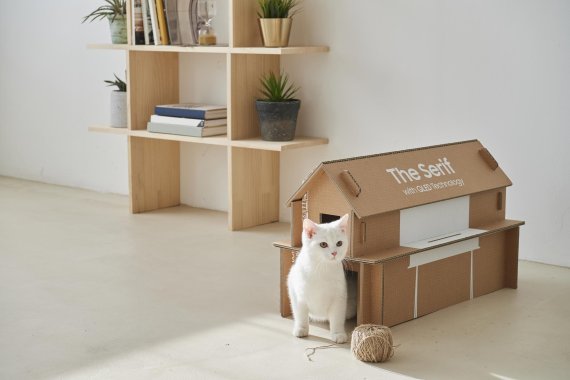 삼성전자 라이프스타일 TV 에코 패키지로 만든 고양이집. 삼성전제 제공