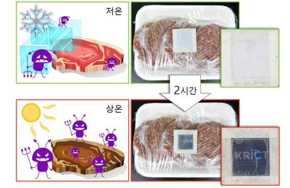 냉장고에서 꺼낸 햄버거 패티를 2시간 동안 상온에 놔두면 포장지에 부착된 콜드체인 안심 스티커에 이미지가 나타난다. 화학연구원 제공