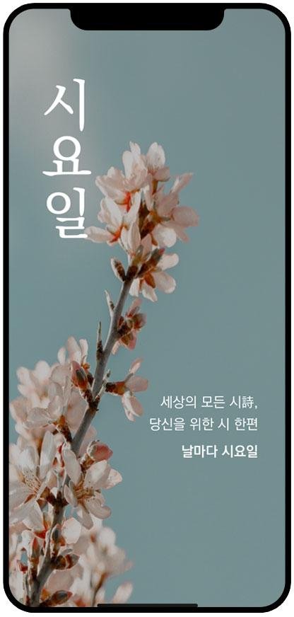 창비 '시요일' 3주년, 1년 이용권 90% 할인