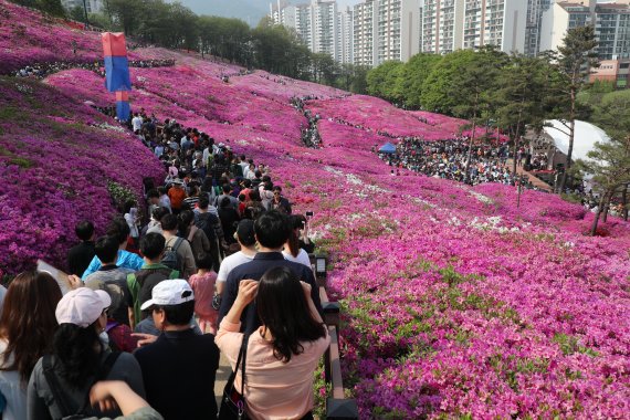 군포시 철쭉동산 폐쇄…초막골주차장 주말 폐쇄